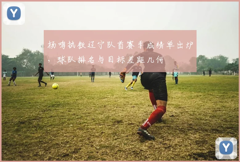 杨鸣执教辽宁队首赛季成绩单出炉，球队排名与目标差距几何