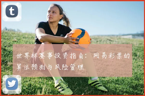 世界杯赛事投资指南：网易彩票的算法预测与风险管理