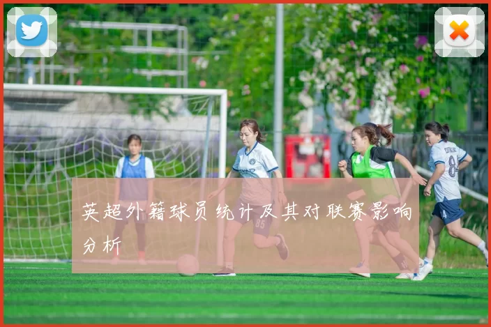 英超外籍球员统计及其对联赛影响分析
