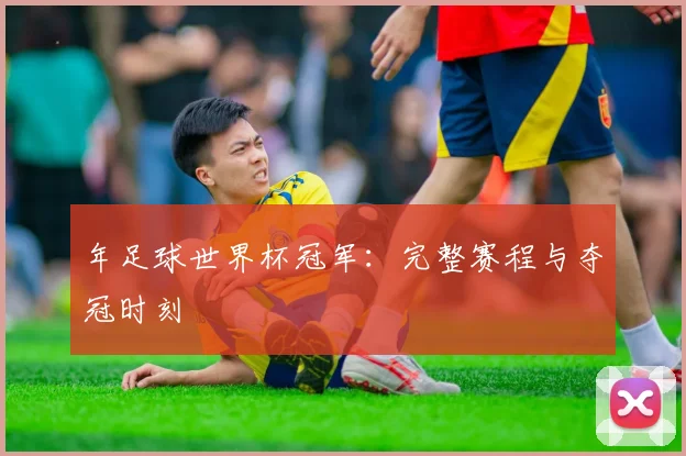 年足球世界杯冠军:完整赛程与夺冠时刻