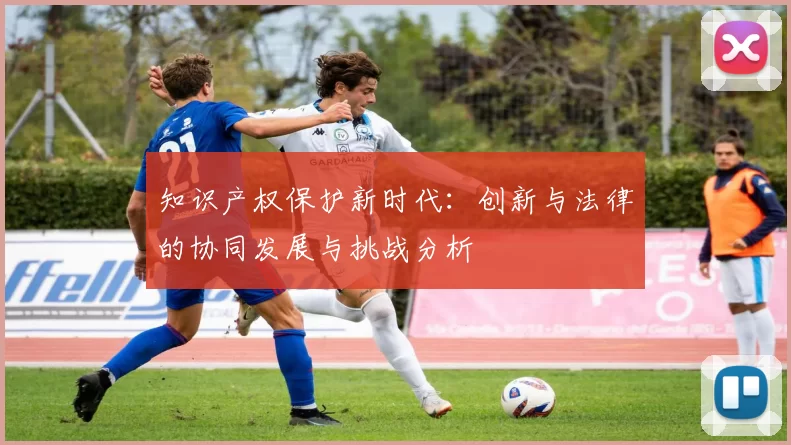 知识产权保护新时代：创新与法律的协同发展与挑战分析