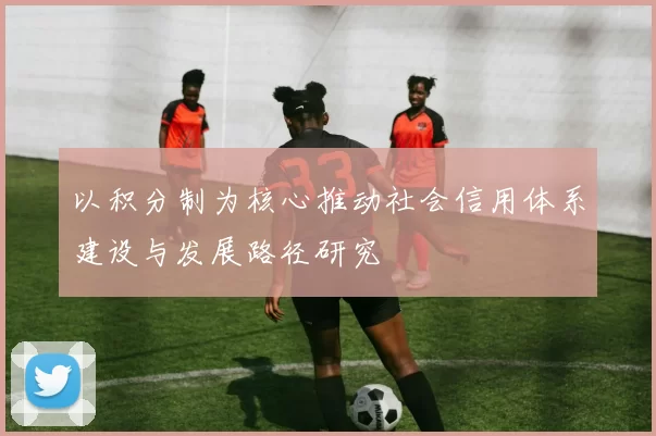 以积分制为核心推动社会信用体系建设与发展路径研究