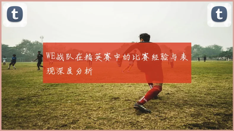 WE战队在精英赛中的比赛经验与表现深度分析
