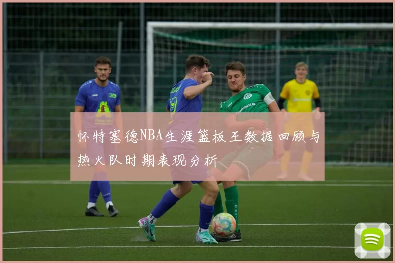 怀特塞德NBA生涯篮板王数据回顾与热火队时期表现分析