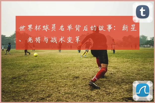 世界杯球员名单背后的故事:新星、老将与战术变革