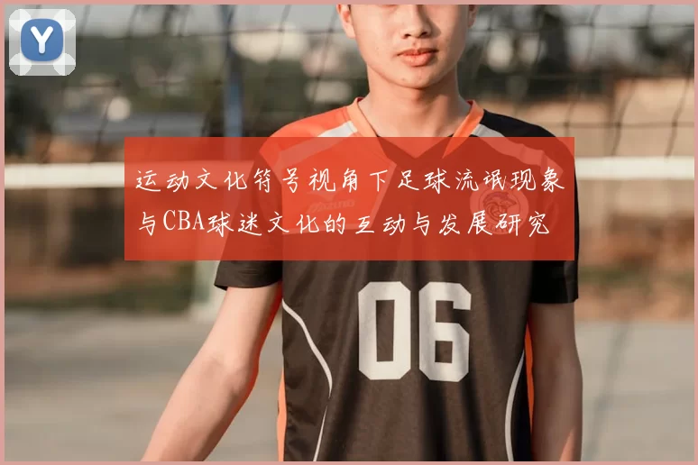 运动文化符号视角下足球流氓现象与CBA球迷文化的互动与发展研究