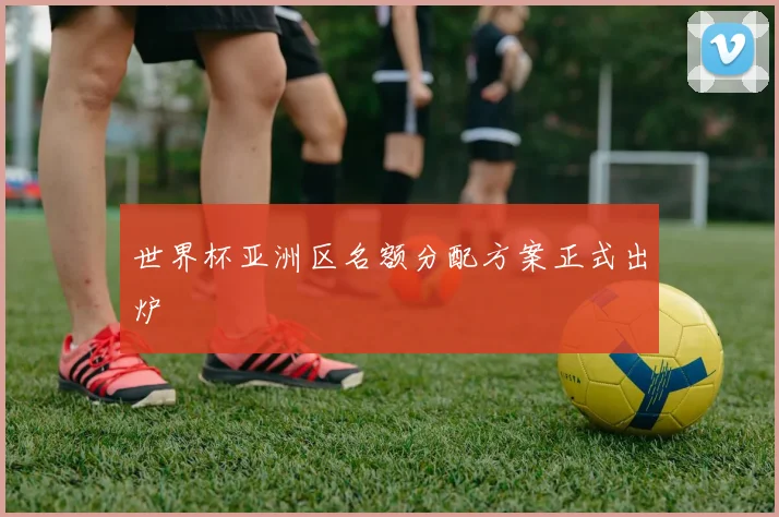 世界杯亚洲区名额分配方案正式出炉
