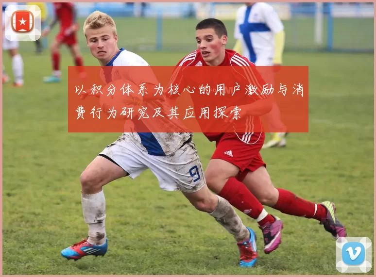 以积分体系为核心的用户激励与消费行为研究及其应用探索