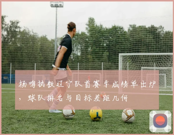 杨鸣执教辽宁队首赛季成绩单出炉,球队排名与目标差距几何